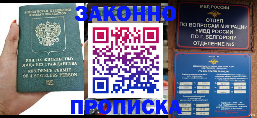 прописка для кредита в Лосино-Петровском
